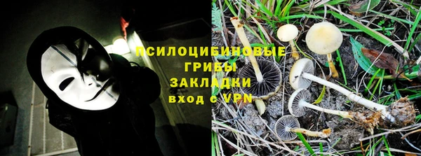 кокс Костерёво