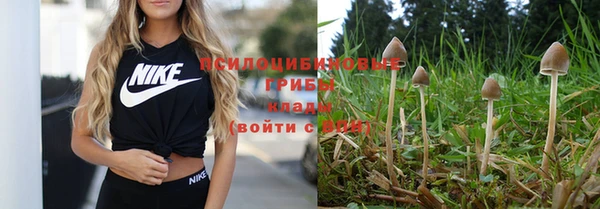 кокс Костерёво