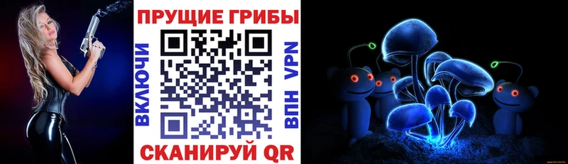 Галлюциногенные грибы прущие грибы  Купить где  Кстово 