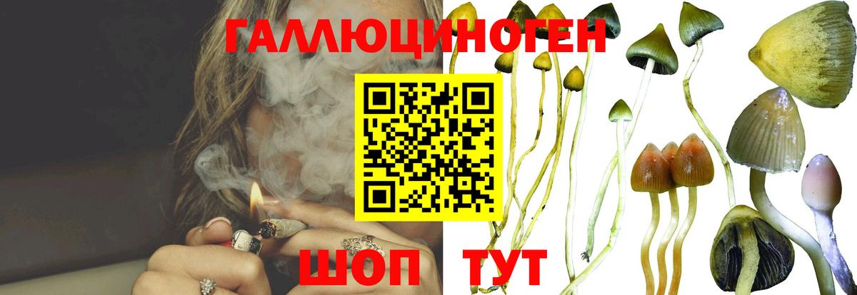Кстово  Галлюциногенные грибы MAGIC MUSHROOMS  Вход с VPN 